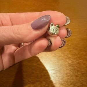 Authentic Pandora Charm - RETIRED Curious Cat Charm
